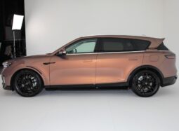 Voyah Free 2024 new energy vehicle popular wagan 4WD hybrid SUV