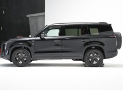 Polar stone (Jishi) 01 Hard-core SUV 4WD high performance off road SUV 6&7 Seats