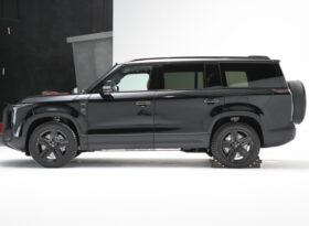 Polar stone (Jishi) 01 Hard-core SUV 4WD high performance off road SUV 6&7 Seats