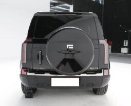 Polar stone (Jishi) 01 Hard-core SUV 4WD high performance off road SUV 6&7 Seats