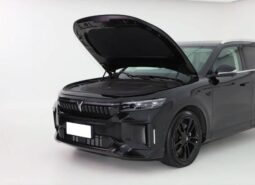 Voyah free 2024 super long-range hot selling EREV high-end SUV from China hybrid vehicle in stock