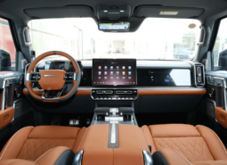 Dongfeng MengShi M917 SUV New Deliver from Kashgar Directly
