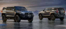 Dongfeng MengShi M917 SUV New Deliver from Kashgar Directly